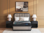 Millennium 2.0 Hybrid 14 Inch Full Mattress