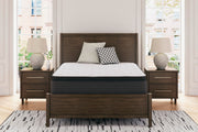Limited Edition PT Queen Mattress