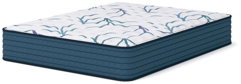 Limited Edition Firm 3.0 Queen Mattress