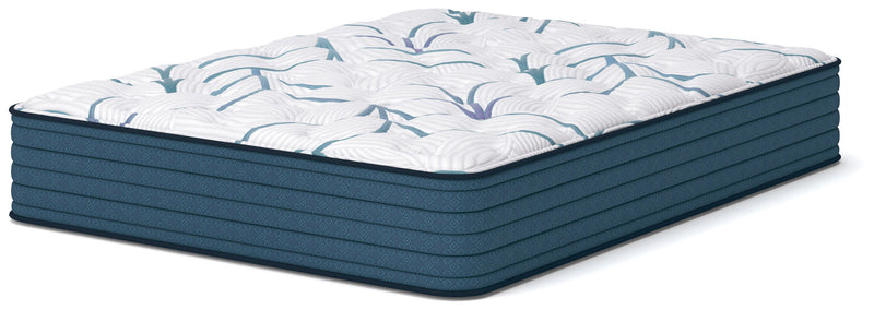 Limited Edition Plush 3.0 Queen Mattress