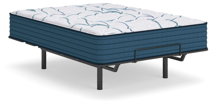 Limited Edition Plush 3.0 Queen Mattress