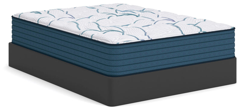 Limited Edition Plush 3.0 Queen Mattress