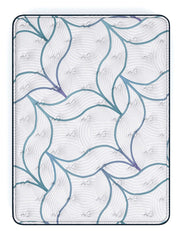 Limited Edition Plush 3.0 Queen Mattress