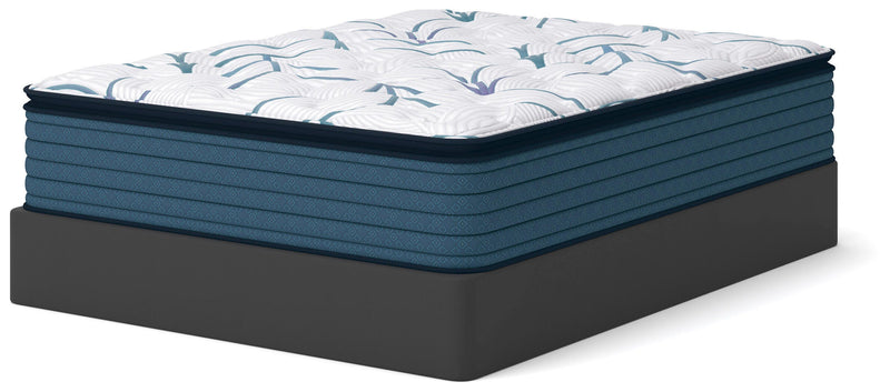 Limited Edition Plush PT 3.0 Queen Mattress