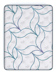 Limited Edition Plush PT 3.0 Queen Mattress