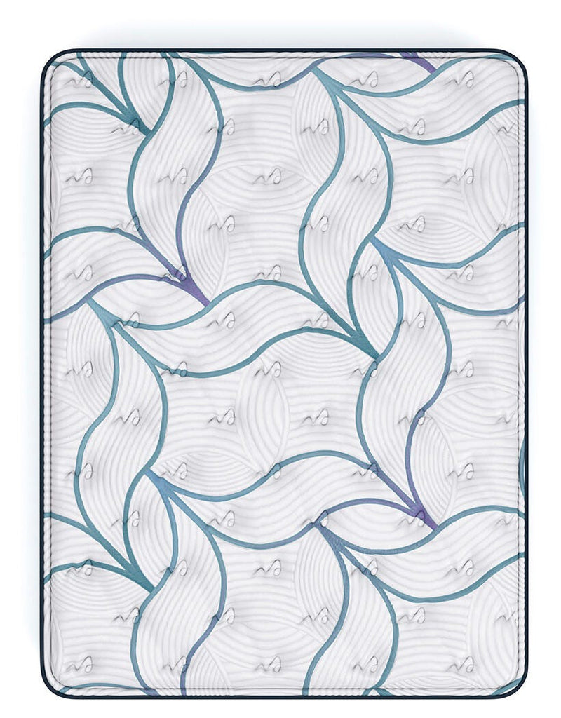Limited Edition Plush PT 3.0 Queen Mattress